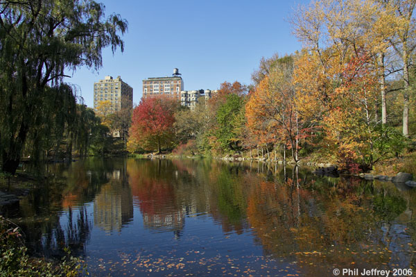 The Pool in Fall