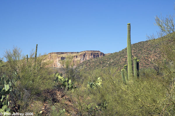 Desert scene