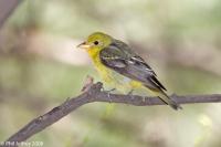 _94R0860-Edit_new.jpg